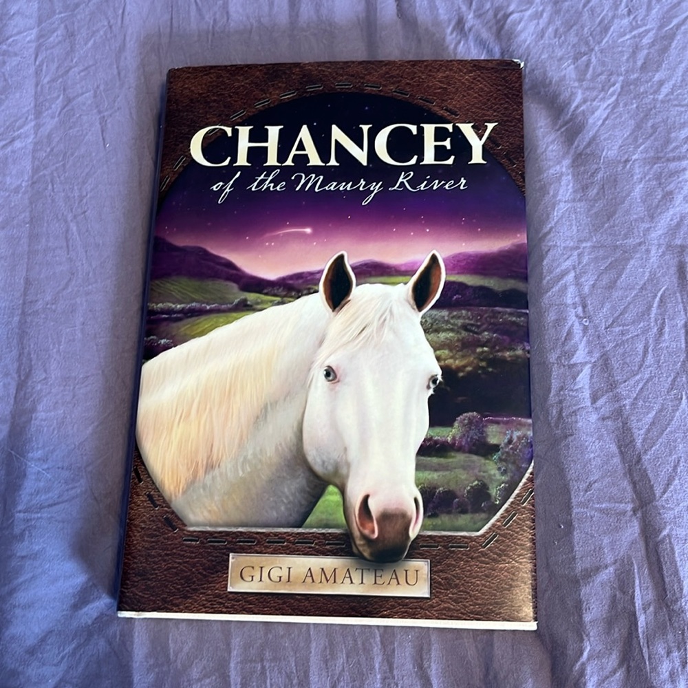 3 wonderful horse stories!